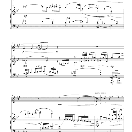 SACRAL TREES Clarinet and Piano Score_Page_4